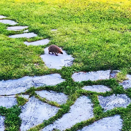 Magnifique Maison Pres Du Centre بيت للعطل