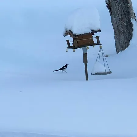 Magnifique Maison Près Du Centre Nendaz