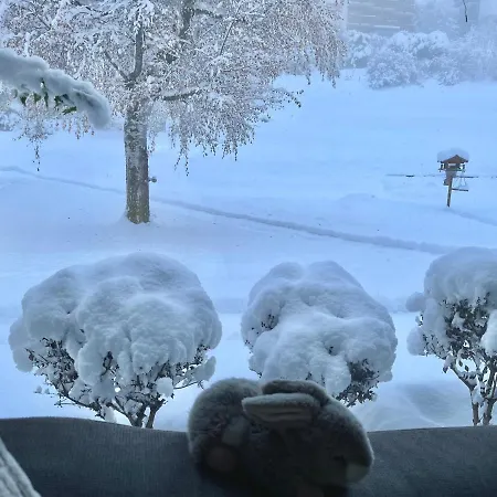 Hébergement de vacances Magnifique Maison Près Du Centre