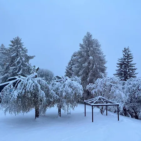 Magnifique Maison Près Du Centre *