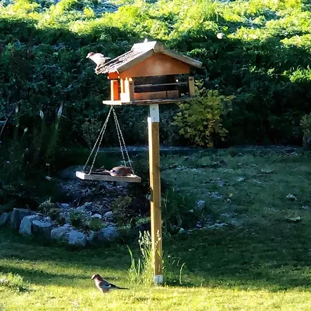 Magnifique Maison Pres Du Centre *