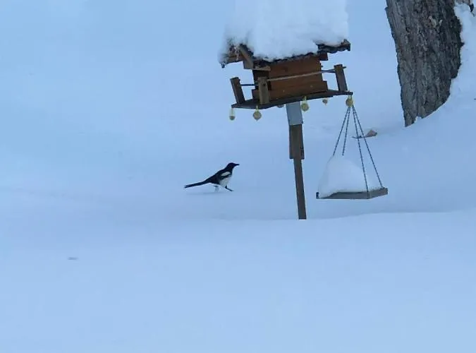 Magnifique Maison Pres Du Centre Nendaz